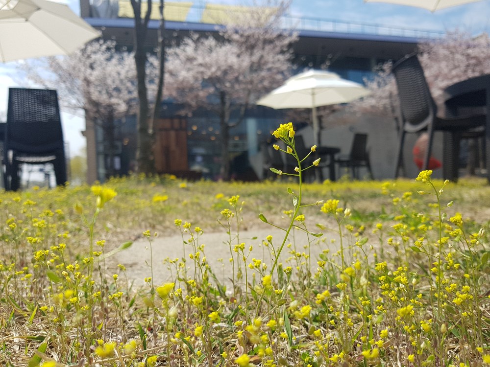 KakaoTalk_20190415_163905211.jpg